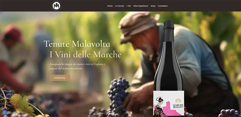 realizzazione siti web Teramo Azienda Vitivinicola